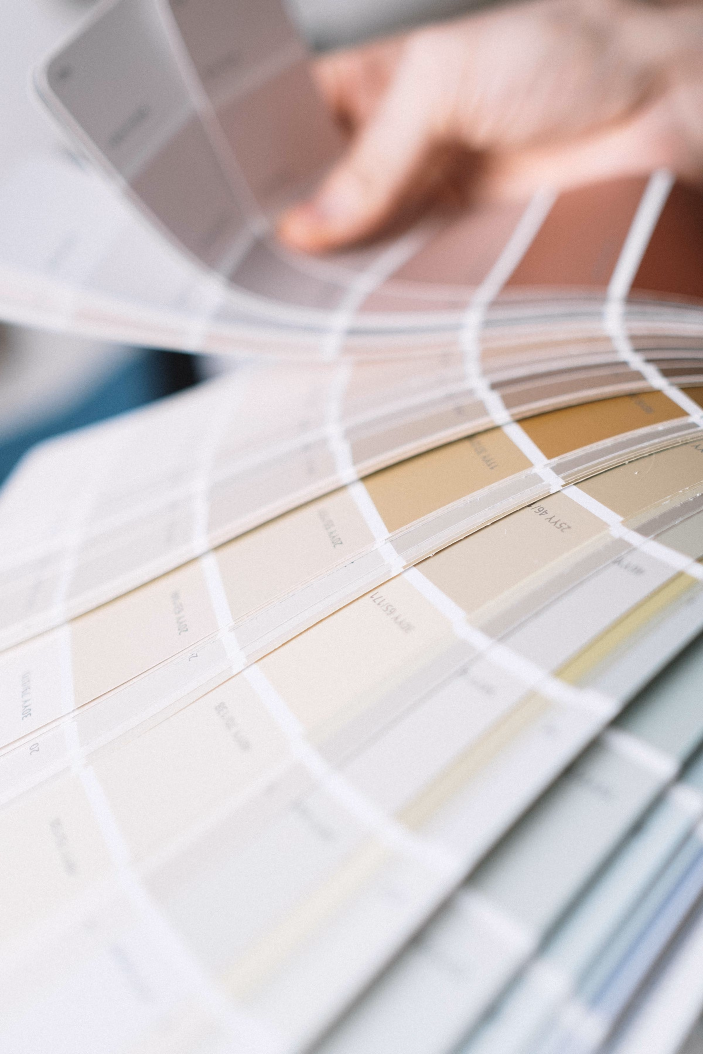 Elde tutulan açık tonlu renk örnekleri